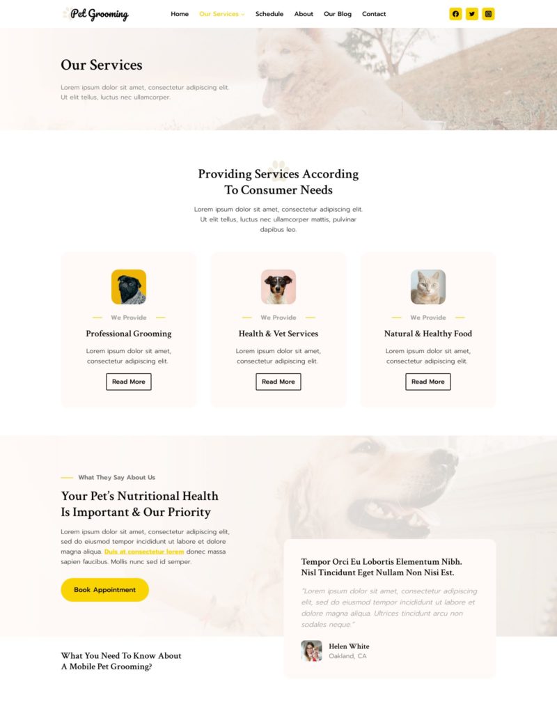 Our Services
